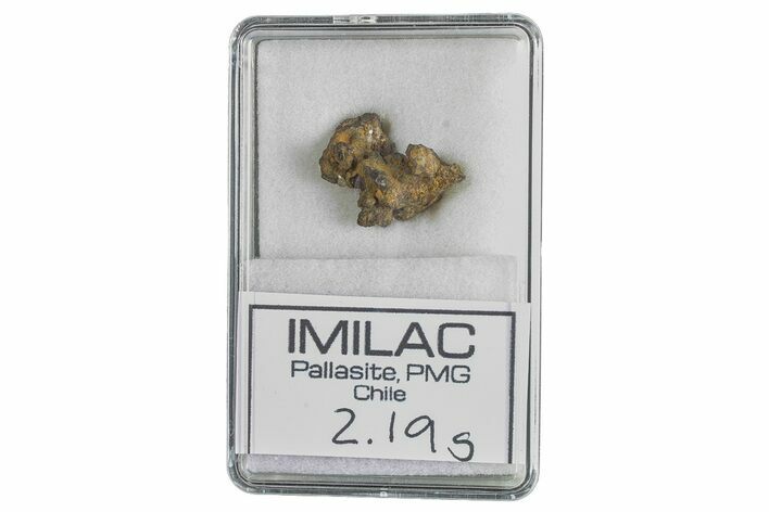 Pallasite Meteorite ( g) Fragment - Imilac #285895